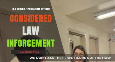 Are Juvenile Probation Officers Law Enforcement? Exploring Their Role