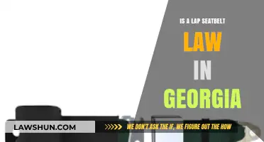 Georgia's Lap Seatbelt Law: Understanding Safety Requirements and Compliance