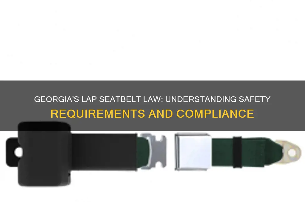 is a lap seatbelt law in georgia