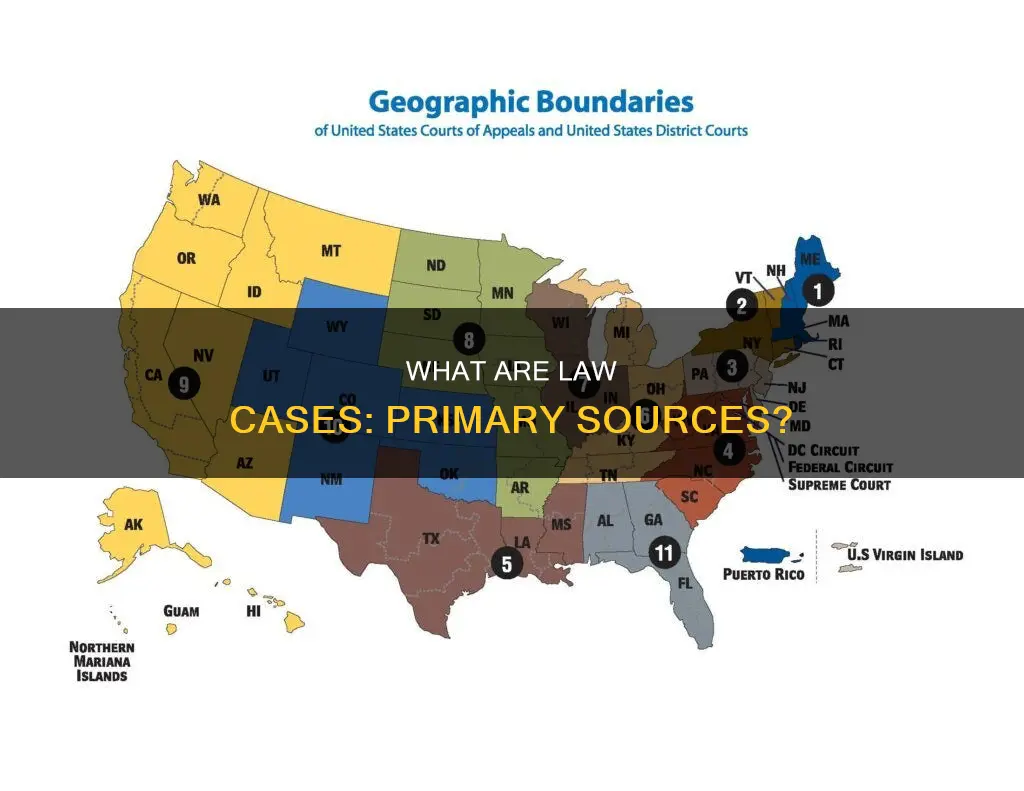 is a law case a primary source