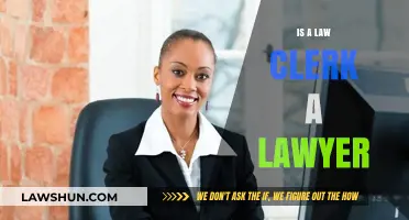 Understanding the Role: Is a Law Clerk Considered a Lawyer?