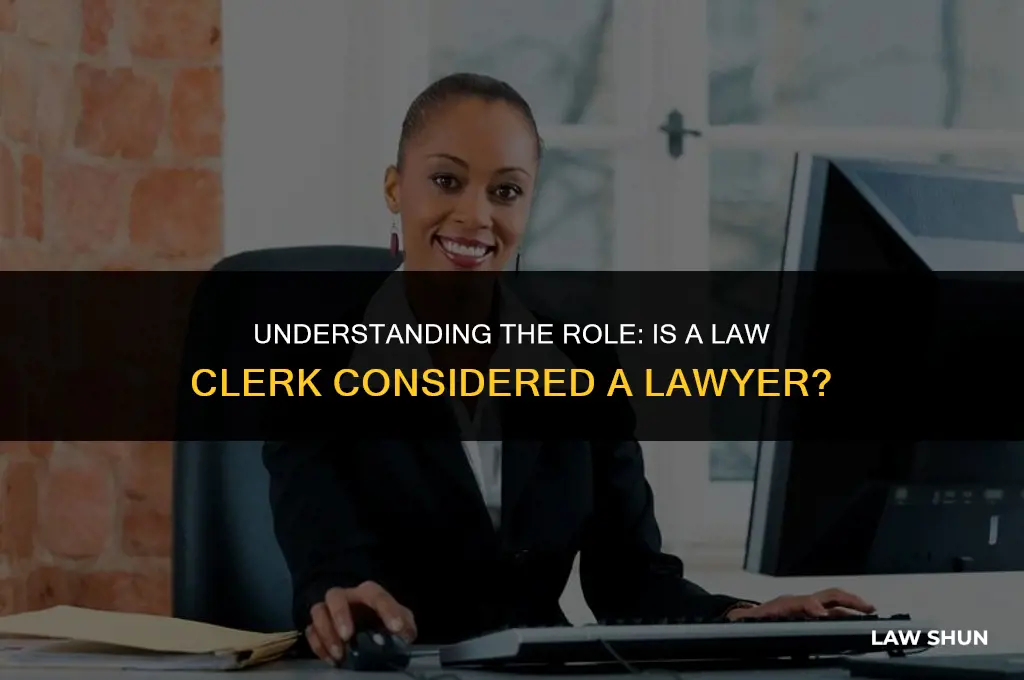 is a law clerk a lawyer
