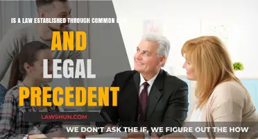 How Common Law Creates Legal Precedent