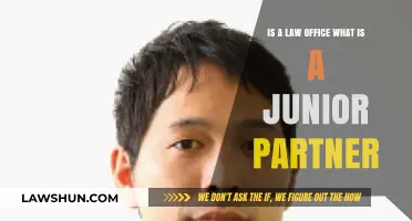 Understanding the Role of a Junior Partner in a Law Office