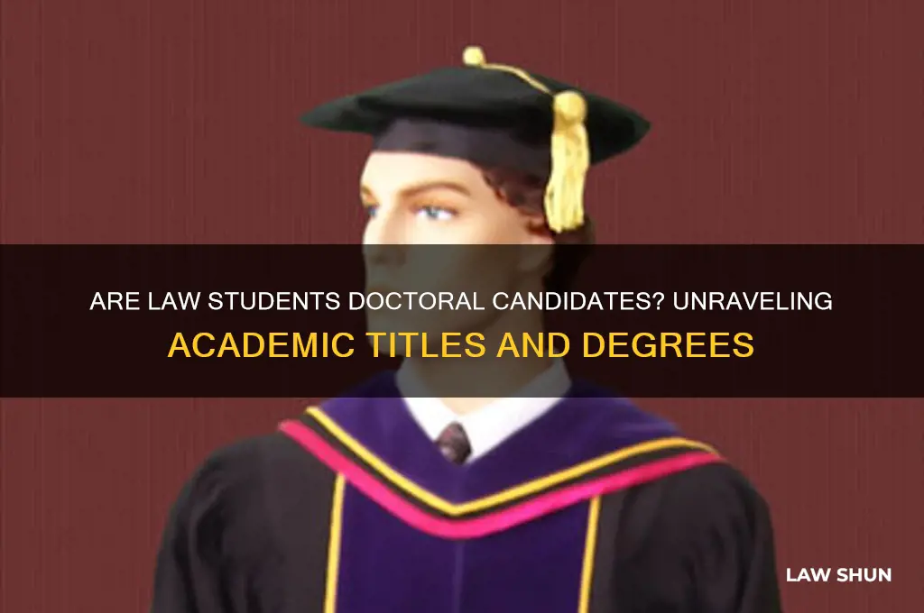 is a law student a doctoral student