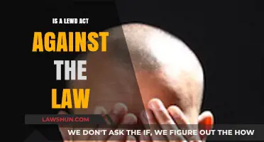 Is Lewd Conduct Illegal? Understanding Legal Boundaries and Consequences
