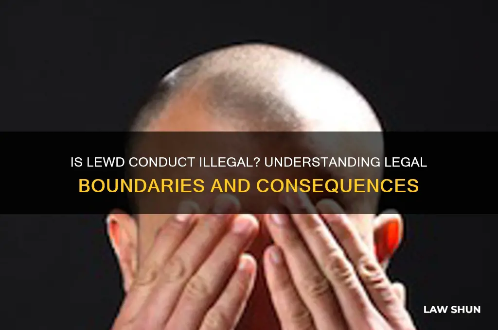 is a lewd act against the law