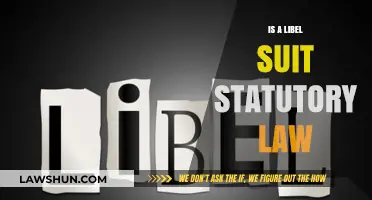 Understanding Libel Lawsuits: Are They Governed by Statutory Law?