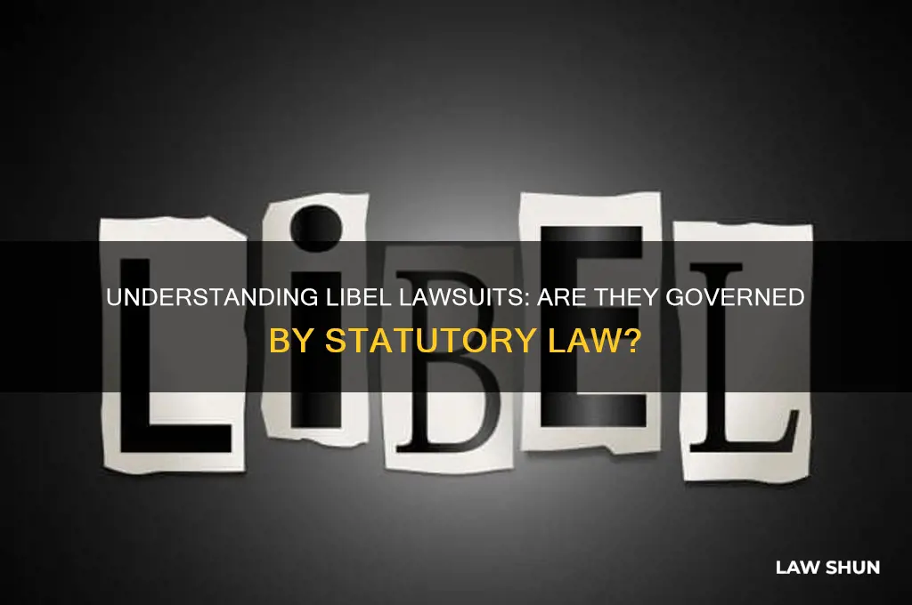 is a libel suit statutory law