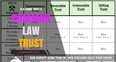 Living Trust and Common Law Trust: What's the Difference?