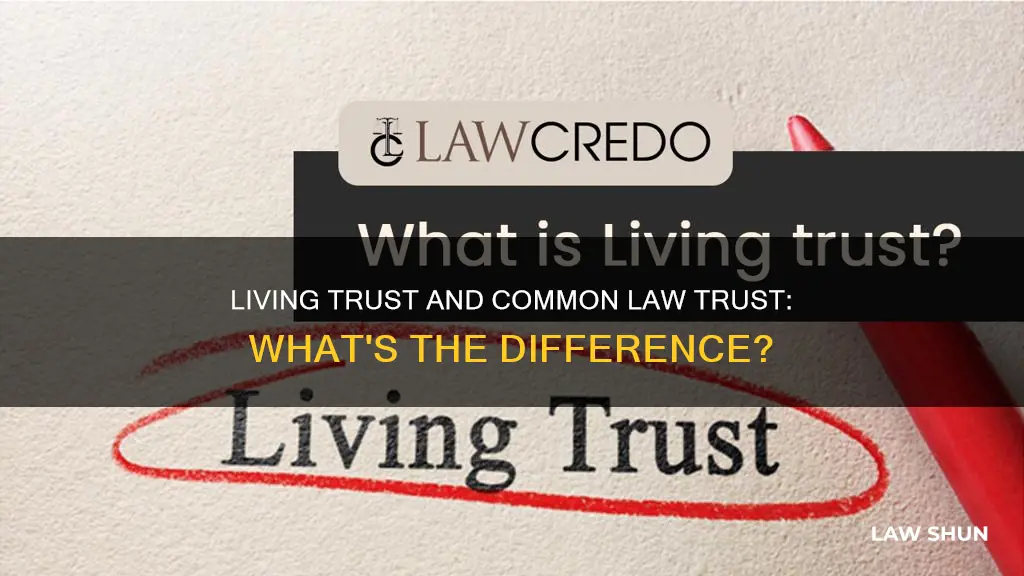 is a living trust a common law trust