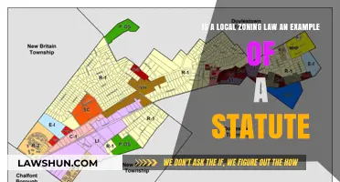 Local Zoning Laws: Are They Considered Statutes?