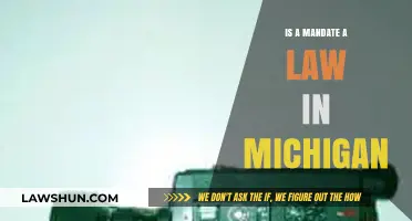 Understanding Mandates vs. Laws in Michigan: Key Legal Distinctions