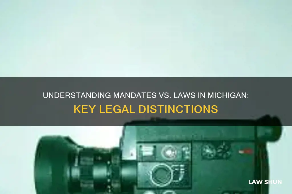 is a mandate a law in michigan