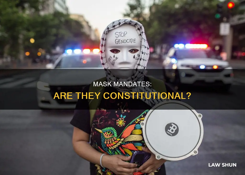 is a mask law constitutional
