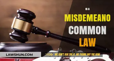 Misdemeanor: Common Law or Criminal Offense?