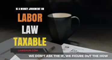 Are Money Judgments from Labor Law Cases Taxable? Key Insights