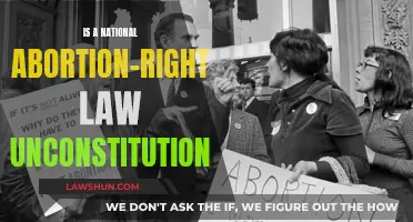 Abortion Rights: Federal Law vs State Power