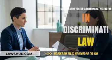 Negative Factors: Determinative Role in Discrimination Law Analysis