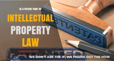 Patents and Intellectual Property Law: Understanding Their Legal Connection