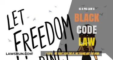 Pig Laws and Black Codes: Unraveling Historical Oppressive Legal Systems
