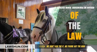 Are Police Horses Law Enforcement Officers? Exploring Their Legal Status