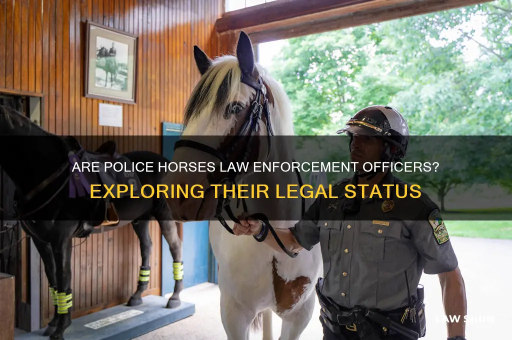 is a police horse considered an officer of the law