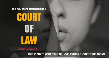 Polygraph Test Admissibility: Legal Standing in Court Proceedings Explained