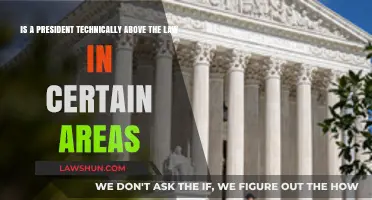 Presidential Immunity: Exploring Legal Boundaries and Accountability Limits