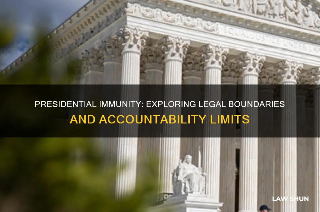 is a president technically above the law in certain areas