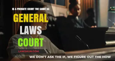 Probate vs. General Laws Court: Understanding the Key Differences
