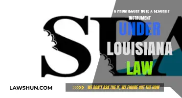 Is a Promissory Note a Security Instrument Under Louisiana Law?