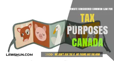 Roommates and Taxes: Common-Law Status in Canada
