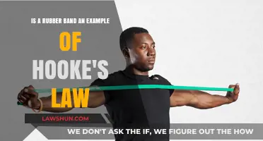 Rubber Bands and Hooke's Law: Stretching the Science