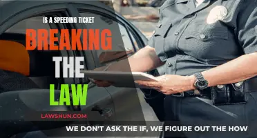 Speeding Tickets: Lawbreakers or Not?