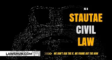 Understanding the Legal Nature of Statutes in Civil Law Systems