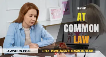 Suits at Common Law: What Are They?