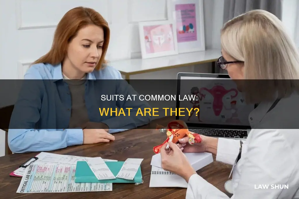 is a suit at common law