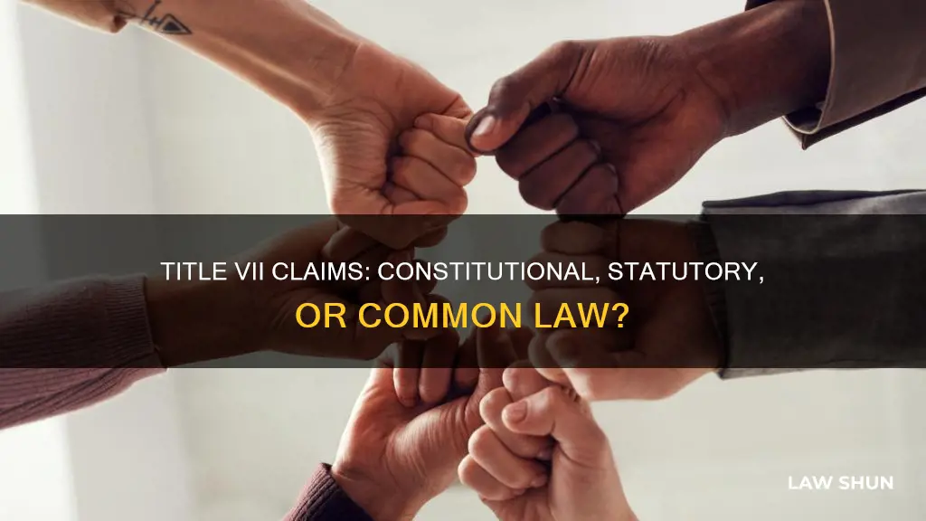 is a title 7 claim constitutional statutory or common law