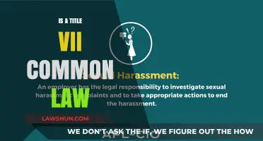 Title VII: Understanding Common Law Rights