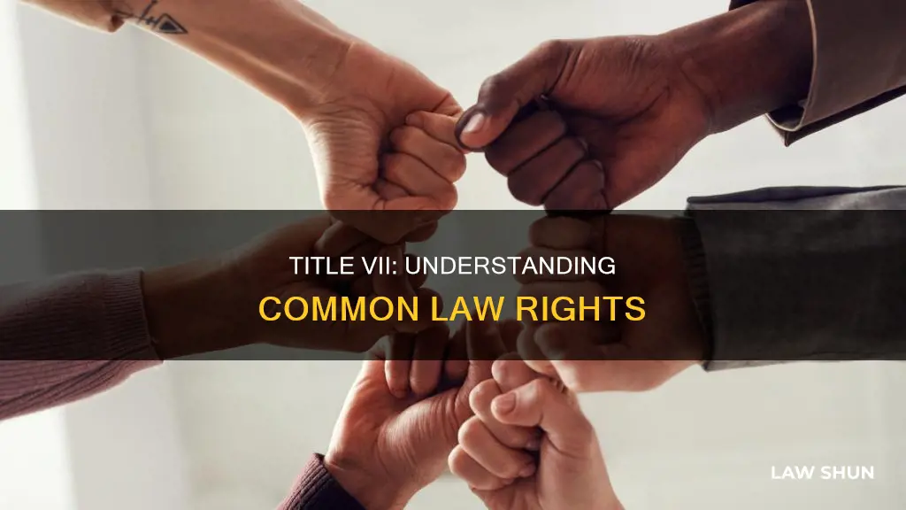 is a title vii common law
