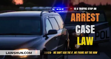 Traffic Stops: What Constitutes an Arrest?