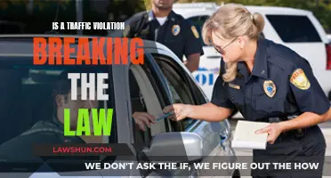 Traffic Violations: Are They Breaking the Law?