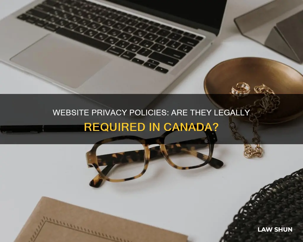 Website Privacy Policies: Are They Legally Required In Canada? | LawShun
