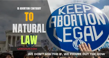 Abortion and Natural Law: A Moral Conundrum