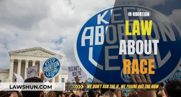 Abortion Laws: Racial Inequality and Injustice?