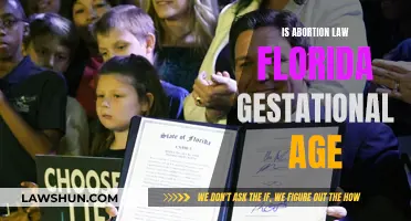 Florida Abortion Law: Gestational Age Restrictions Explained