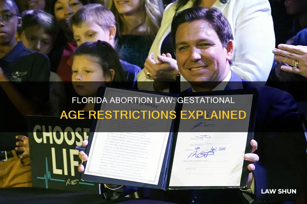 is abortion law florida gestational age