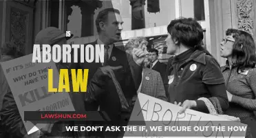 Abortion Law: A Woman's Right to Choose