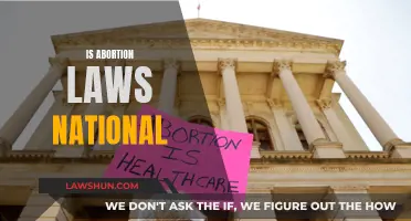 Abortion Laws: A State or National Issue?